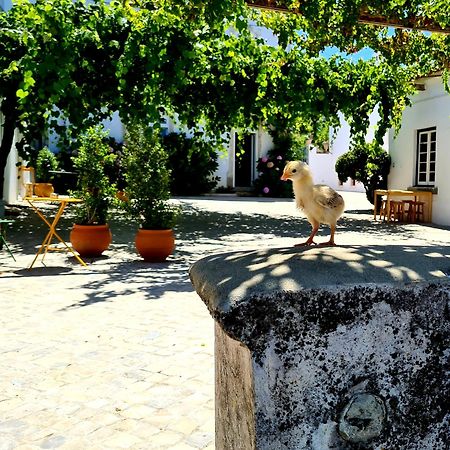 Oryza Guest House& Suites Coimbra Buitenkant foto