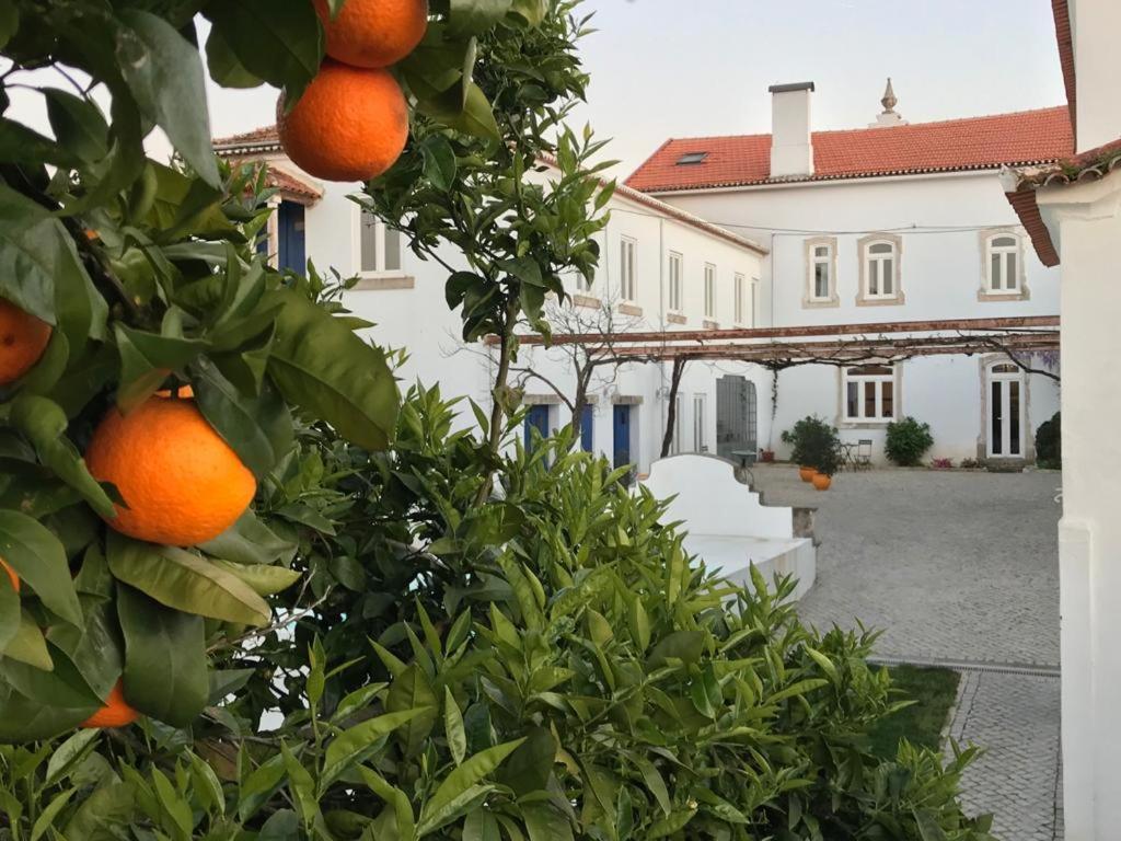 Oryza Guest House& Suites Coimbra Buitenkant foto