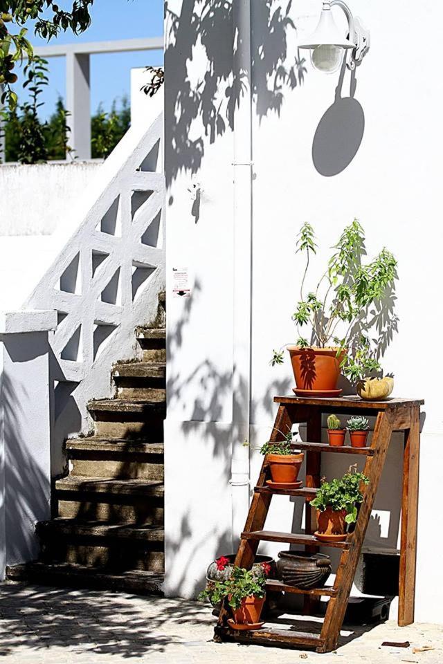 Oryza Guest House& Suites Coimbra Buitenkant foto