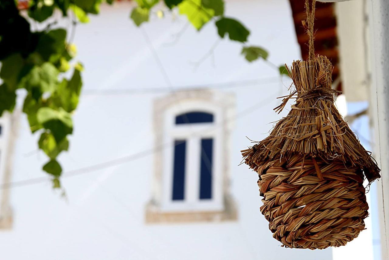 Oryza Guest House& Suites Coimbra Buitenkant foto